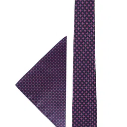 Alvaro Castagnino Men Accessory Gift Set of Tie and Pocket Square image 2