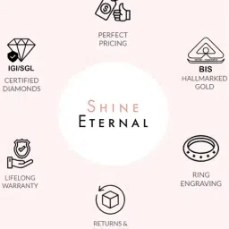 SHINE ETERNAL Lab Grown Diamond 18k (750) Yellow Gold The Solitaire Spark Stud for Women image 5