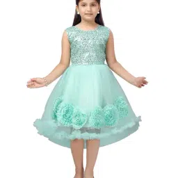Aarika Kids Blue Embellished Dress-image-40