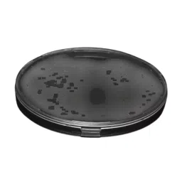 Ledil Mirella Series LED Reflector Sublens Round Beam, C13333_MIRELLA-CL (Pack of 7 Pcs)-picture-43