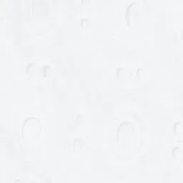 Ginger by Lifestyle White Cotton Self Design Shorts image 5