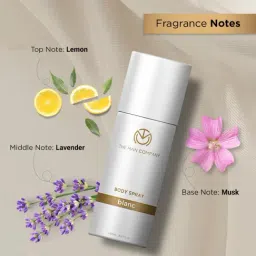 The Man Company Oud,Fire & Blanc Body Spray Combo Pack For Men - 150 ml (Pack of 3) image 4