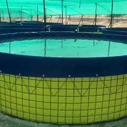Mipatex 550 GSM PVC Biofloc Fish Tank 2m, 4500ltr - Round Tarpaulin Sheet 1.5m Height Tank(Blue)-picture-46