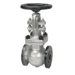 Sant CS 10 200 mm Cast Steel Globe Valve-picture-12