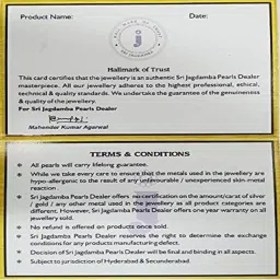 Sri Jagdamba Pearls Raveena Pearl White Alloy Necklace & Earring Set image 5