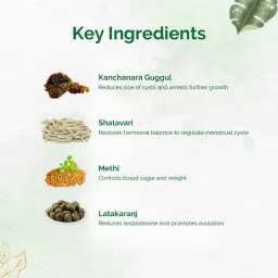 Dr. Vaidya's Pcos Care image 4