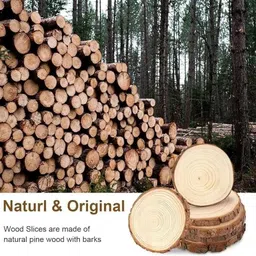 amulyadelhi Round Reversible Wood Coaster Set image 4