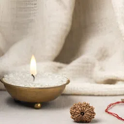 Gemsmantra Brown Wooden 12 Mukhi Nepali Rudraksha Without Pendant image 2