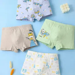 Teri Beri Set Of 6 Low-Rise Cotton Hipster Briefs image 4