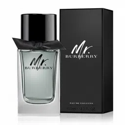Burberry Men Mr Long Lasting Eau De Toilette - 100 ml-picture-14