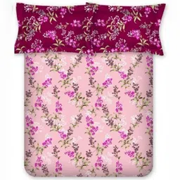 BOMBAY DYEING Blumen Pink Floral 104 TC Cotton Single Bedsheet Set-1.40 m X 2.24 m-picture-35