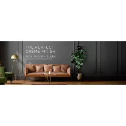 Asian Paints Royale Glitz Luxury Emulsion Regal White- TNSP 20 L Ultra Sheen Finish, 1A29 image 2