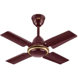 Indo Little Active Series Brown Color 600 mm Sweep Size Ceiling Fan, LITTLE ACTIVE-image-87