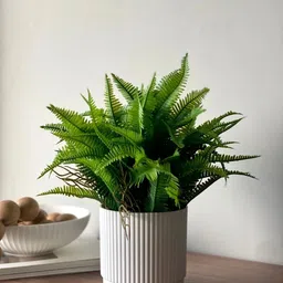 Mason Home Green 1 Pieces Artificial Lush Fern Plant With Pot image 3