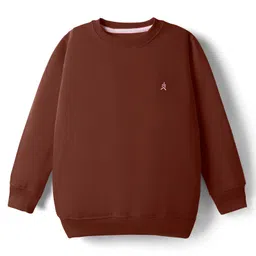 Pine Kids Knit Full Sleeves Solid Colour Pullover Sweatshirt - Brown-picture-12