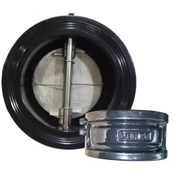 LEHRY VALVES 16 inch, 400 mm Cast Iron Dual Plate Check Valve, LIV-NRV-CI-CF8-003-picture-39