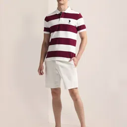U.S. Polo Assn. Men Striped Polo Collar Cotton Slim Fit T-shirt image 5