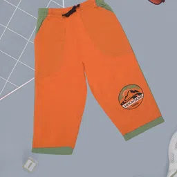 Dollar Champion Kidswear Boys Shorts-picture-54
