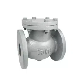 Kranti 3 inch, 80 mm Cast Steel Swing Check Valve, PV-215-picture-43