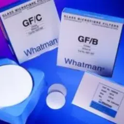 Whatman 150 mm Grade GF 10 Glass Filter With Organic Binder 10370308-picture-21