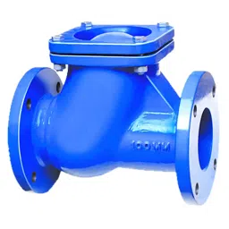 LEHRY VALVES 4 inch, 100 mm Cast Iron Ball Type Check Valve S/E & F/E, LIV-NRV-CI-FE-001-picture-33
