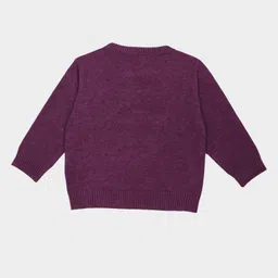 MI Arcus Knit Full Sleeves Acorn Designed Sweater & Joggers Set - Purple image 5