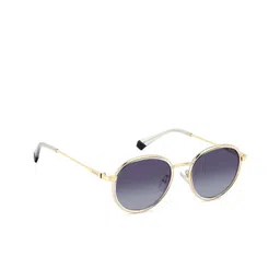 Polaroid Unisex Grey Lens & Gold-Toned Other Sunglasses with UV Protected Lens-picture-17