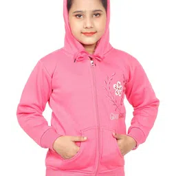 BABY HOME Girls Embroidered Hooded Sweatshirt-picture-43
