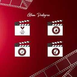 Colorbar Bolly Lights Insta-Glam Makeup Fixer - 100 ml image 5