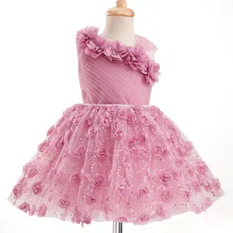 Bluebell Net Woven Sleeveless Frock With Floral Applique - Pink-picture-25