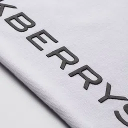 Blackberrys Colourblocked Polo T-shirt image 3