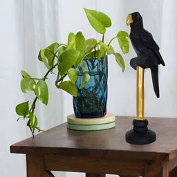 Zart Black Idol Showpiece-picture-31