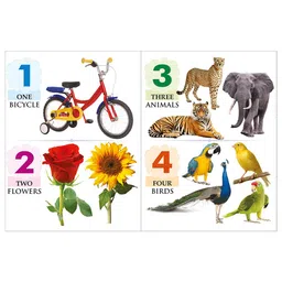 Sawan My First Board Book Combo of 20 - English Hindi image 4