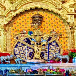 photoframewalaz Wood Wall Photo Frame image 4