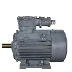 Bharat Bijlee Three Phase 1 HP 6 Pole Foot Mounted IE3 Flame Proof Induction Motor, 3J09L6B300000-picture-26