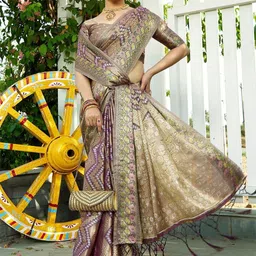 Zeenat Duniya Woven Design Zari Organza Saree-picture-33