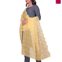 Kemza Pack Of 2 Geometric Embroidered Organza Dupatta With Sequinned-picture-23