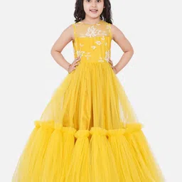 Bitiya By Bhama Net Woven Sleeveless Floral Embroidered Ruffles Detailed Gown - Yellow-picture-11