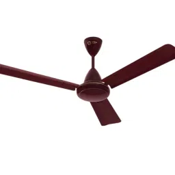 Orient Base BLDC Hector 500 Brown 900 mm 5 Star Ceiling Fan-picture-29