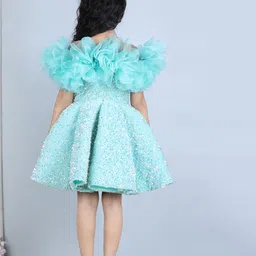 The Lush Affair Girls Net Embellished Printed Flutter Sleeve Fit & Flare Dress image 4