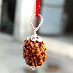 kripalu store Lab Certified Natural 3 Mukhi Rudraksha Locket 3 Face Rudraksha Pendant Beads Silver Beads Wood Pendant image 3