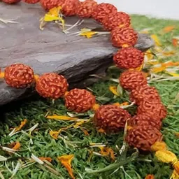 SANKALAN CREATIONS Brown Curio Showpiece image 5