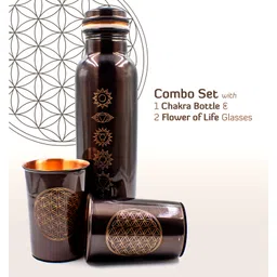 Sarveda 7 Chakra Vintage Copper Water Bottle with 2 Glasses - 1 Litre image 2
