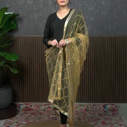 HELLA FASHIONS Ethnic Motifs Embroidered Dupatta-picture-33