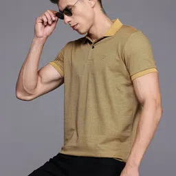 Allen Solly Self-Striped Polo Collar T-shirt image 1
