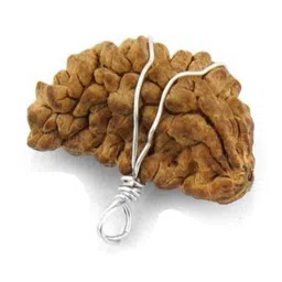 RAVIOUR LIFESTYLE Alloy Quirky Ek Mukhi Rudraksha Wood Pendant-image-53