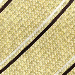 The Tie Hub Men Striped Broad Tie image 2