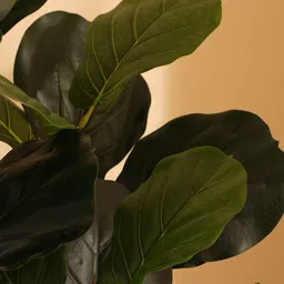 Elemntl Green Core image 2