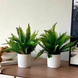 Mason Home Green Set of 2 Artificial Lush Fern Plant With Pot image 3