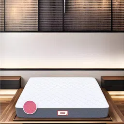 COIRFIT White & Maroon Quilted Cotton Orthopedic Single Size Mattress-picture-11